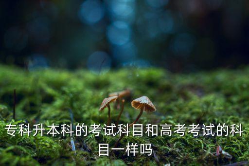 ?？粕究频目荚嚳颇亢透呖伎荚嚨目颇恳粯訂? class=
