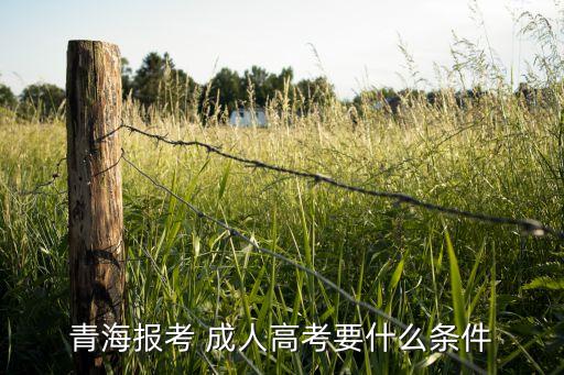 青海報考 成人高考要什么條件
