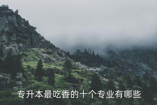  專升本最吃香的十個(gè)專業(yè)有哪些