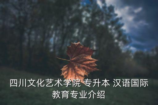 四川文化藝術(shù)學(xué)院 專升本 漢語國(guó)際教育專業(yè)介紹