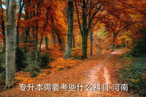  專(zhuān)升本需要考些什么科目 河南