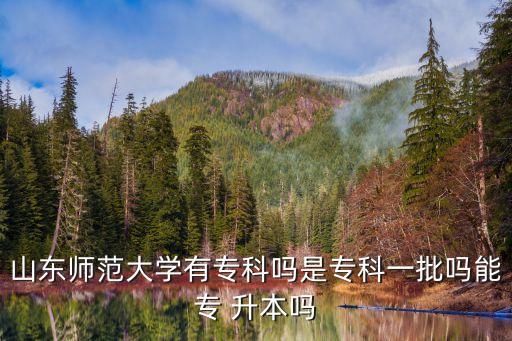 山東師范大學(xué)有?？茊崾菍？埔慌鷨崮軐?升本嗎
