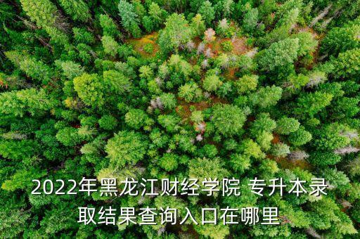2022年黑龍江財經(jīng)學院 專升本錄取結果查詢?nèi)肟谠谀睦? class=