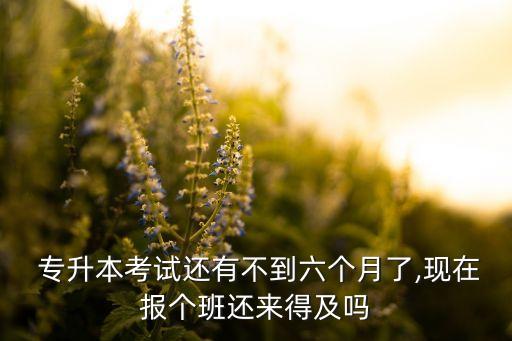  專升本考試還有不到六個月了,現(xiàn)在報個班還來得及嗎