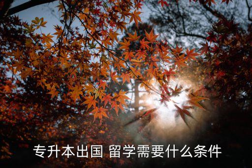  專升本出國 留學(xué)需要什么條件