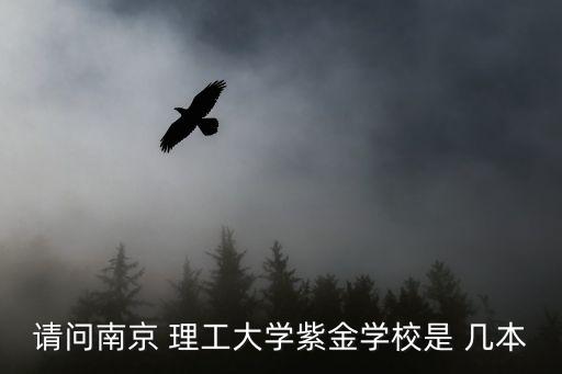 請(qǐng)問南京 理工大學(xué)紫金學(xué)校是 幾本