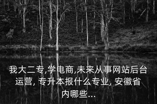 我大二專,學(xué)電商,未來(lái)從事網(wǎng)站后臺(tái)運(yùn)營(yíng), 專升本報(bào)什么專業(yè), 安徽省內(nèi)哪些...