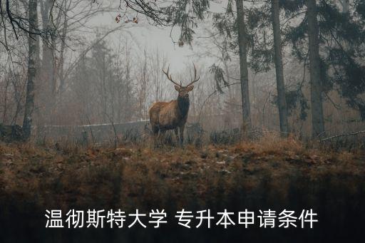 溫徹斯特大學(xué) 專升本申請條件