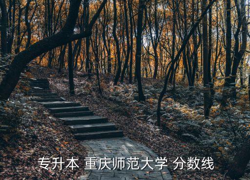 重慶專(zhuān)升本志愿分?jǐn)?shù),重慶統(tǒng)招專(zhuān)升本可以報(bào)幾個(gè)志愿