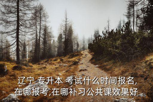  遼寧 專升本 考試什么時間報(bào)名,在哪報(bào)考,在哪補(bǔ)習(xí)公共課效果好