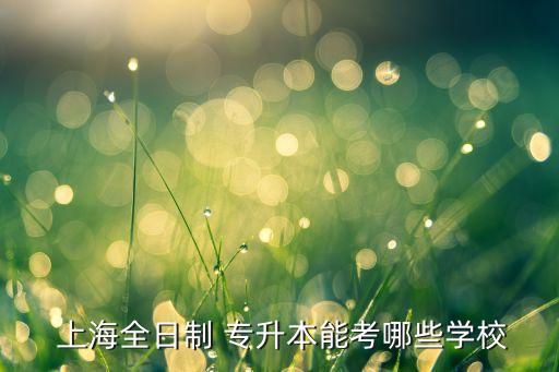 上海全日制 專升本能考哪些學校