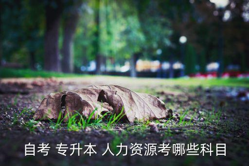 人力資源管理專升本,安徽建筑大學人力資源管理專升本