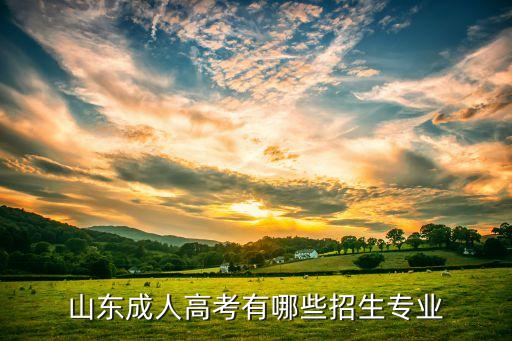 濟(jì)南大學(xué)成考專(zhuān)升本