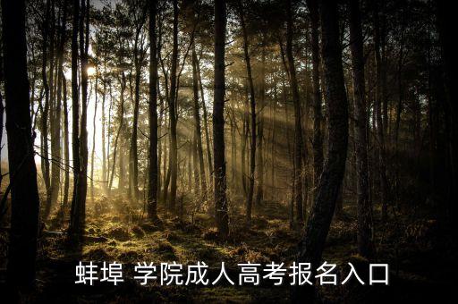  蚌埠 學院成人高考報名入口