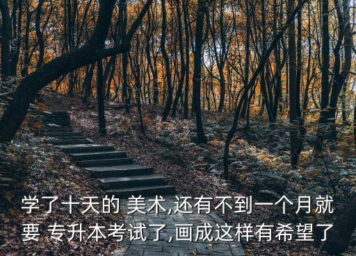 學(xué)了十天的 美術(shù),還有不到一個(gè)月就要 專升本考試了,畫成這樣有希望了