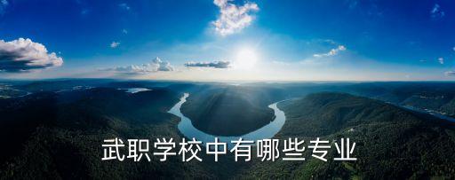  武職學校中有哪些專業(yè)