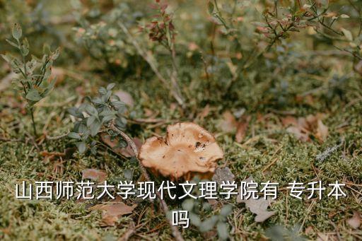 山西師范大學現(xiàn)代文理學院有 專升本嗎