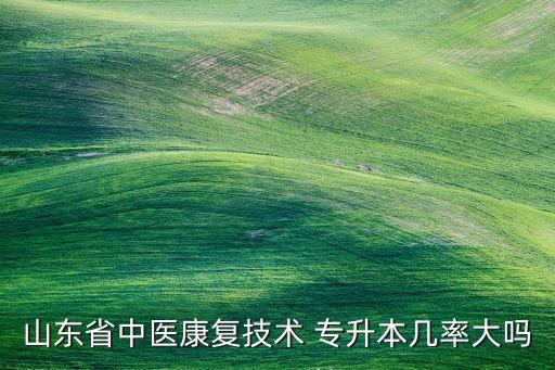 山東中醫(yī)藥高等專科學校專升本然后出國