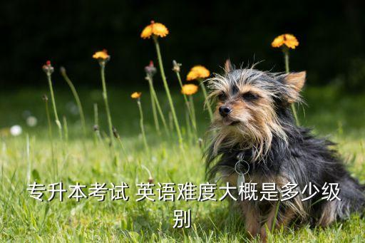  專升本考試 英語(yǔ)難度大概是多少級(jí)別