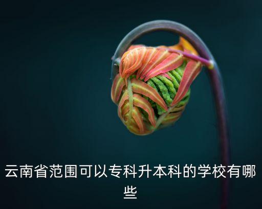 云南省范圍可以?？粕究频膶W(xué)校有哪些