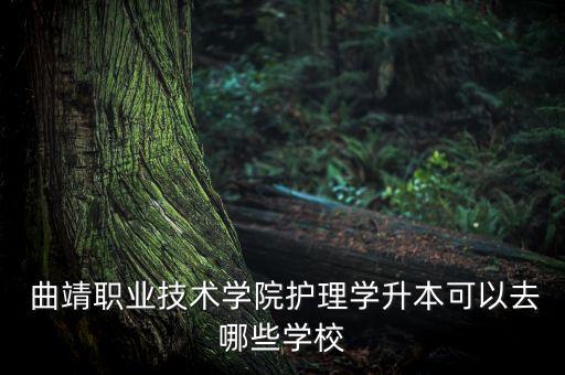  曲靖職業(yè)技術(shù)學院護理學升本可以去哪些學校