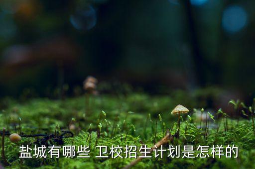  鹽城有哪些 衛(wèi)校招生計(jì)劃是怎樣的