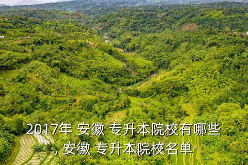 安徽建筑工業(yè)專(zhuān)升本
