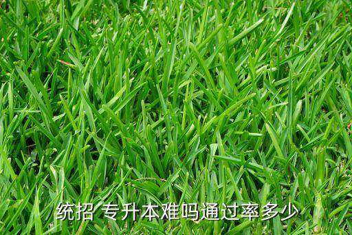  統(tǒng)招 專升本難嗎通過率多少
