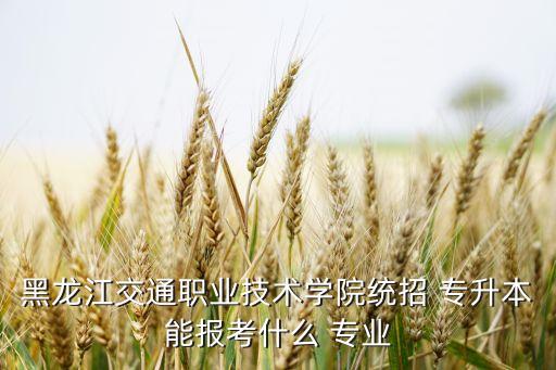 黑龍江交通職業(yè)技術學院統(tǒng)招 專升本能報考什么 專業(yè)