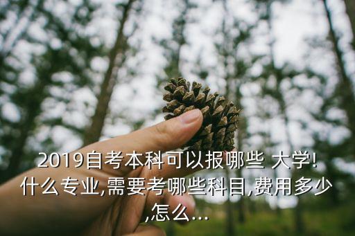 2019自考本科可以報哪些 大學!什么專業(yè),需要考哪些科目,費用多少,怎么...