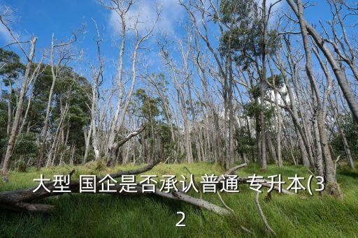 大型 國企是否承認普通 專升本(3 2