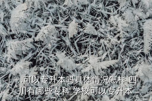 ...可以專升本嗎具體情況怎樣 四川有哪些專科 學(xué)?？梢詫Ｉ? class=