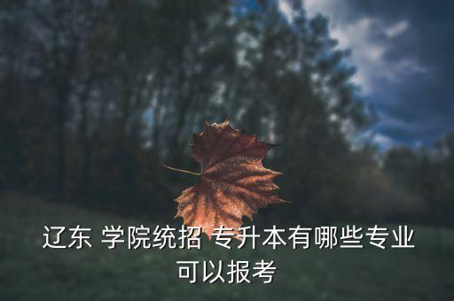  遼東 學院統(tǒng)招 專升本有哪些專業(yè)可以報考