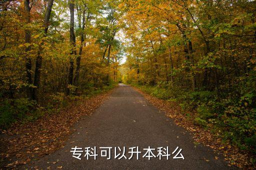 ?？瓶梢陨究泼? class=