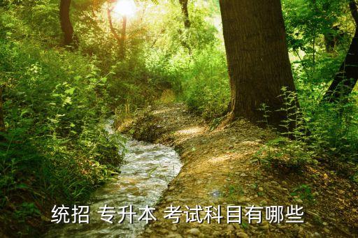 統(tǒng)招 專(zhuān)升本 考試科目有哪些