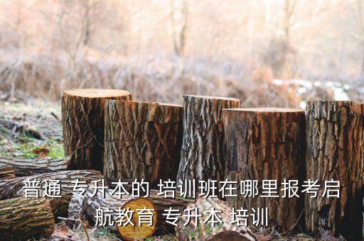 石家莊專(zhuān)升本英語(yǔ)培訓(xùn),武漢專(zhuān)升本英語(yǔ)培訓(xùn)