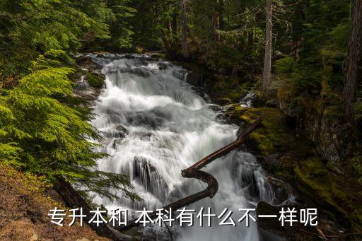  專(zhuān)升本和 本科有什么不一樣呢