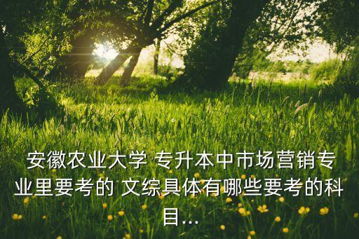 安徽農(nóng)業(yè)大學(xué) 專升本中市場營銷專業(yè)里要考的 文綜具體有哪些要考的科目...