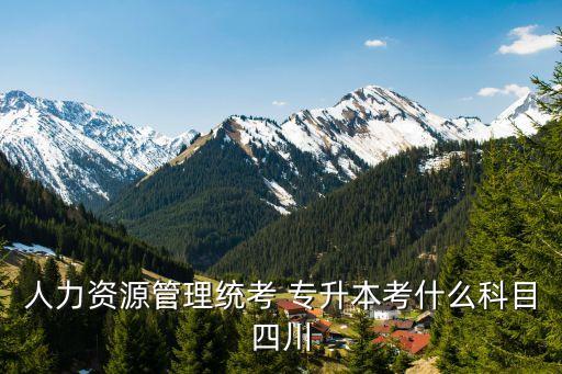 專升本社會學(xué)