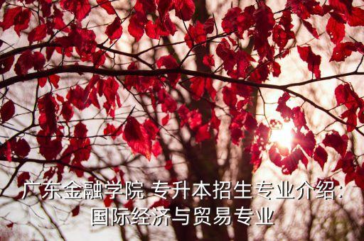 廣東金融學院 專升本招生專業(yè)介紹:國際經(jīng)濟與貿(mào)易專業(yè)