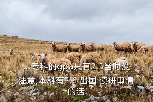 ...?？频膅pa只有2.5當時沒注意,本科有3.6 出國 讀研申請的話