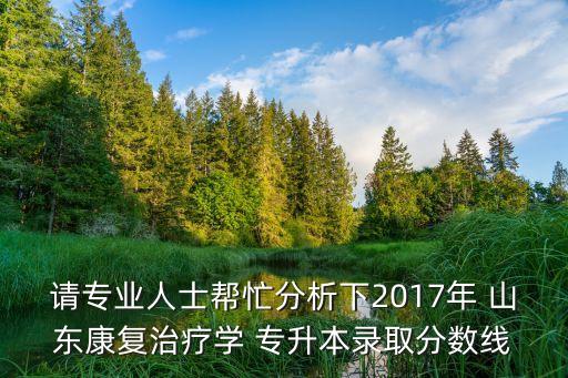 請(qǐng)專業(yè)人士幫忙分析下2017年 山東康復(fù)治療學(xué) 專升本錄取分?jǐn)?shù)線