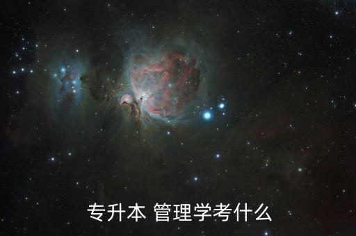  專升本 管理學(xué)考什么
