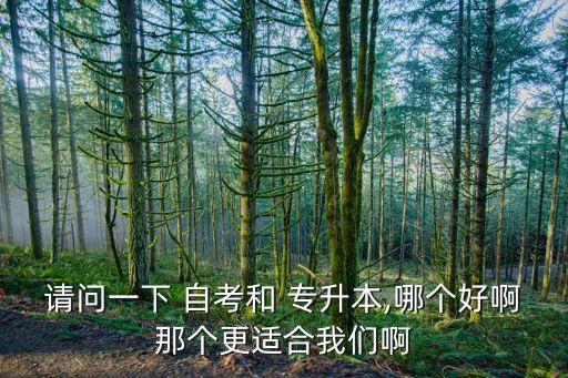 請(qǐng)問一下 自考和 專升本,哪個(gè)好啊那個(gè)更適合我們啊