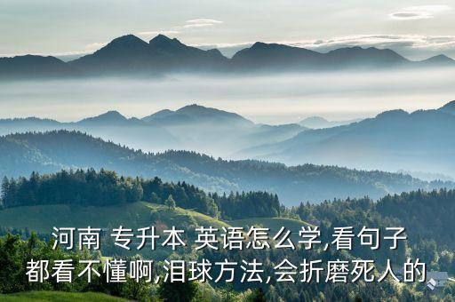  河南 專升本 英語(yǔ)怎么學(xué),看句子都看不懂啊,淚球方法,會(huì)折磨死人的
