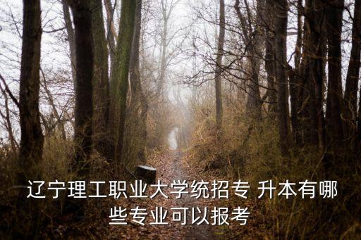  遼寧理工職業(yè)大學(xué)統(tǒng)招專 升本有哪些專業(yè)可以報考