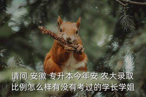 安徽 專升本 農(nóng)大,安徽專升本什么時(shí)候考試2023