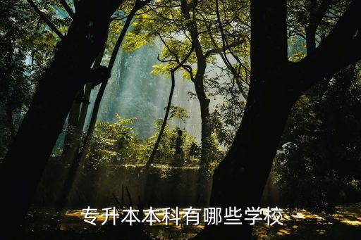  專(zhuān)升本本科有哪些學(xué)校