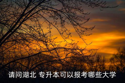 請問湖北 專升本可以報考哪些大學