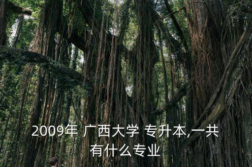 2009年 廣西大學 專升本,一共有什么專業(yè)